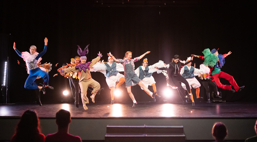 MTNZ Big Theatre Open Weekend